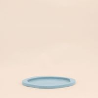 Plateau organique bleu 22x18cm