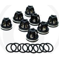 Kit valvole O-ring per pompa a membrana AR160 185 ANNOVI 6702374