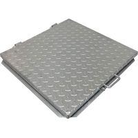 Einside – Couvercle de regard en acier galvanisé 90 x 90 cm – Charnière inclinable pour inspection – Cadre en T robuste – Étanchéité pour réservoirs