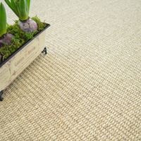 Echantillon Sisal Quintana - 15 x 20 cm