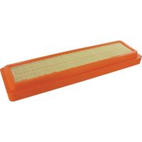 Filtro para cabina Steyr STEYR CASE 134184042