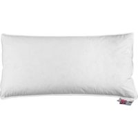 HOMESCAPES Oreiller en Duvet d’oie 40 x 80 cm