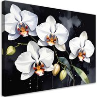 Cuadro en Lienzo Orquídeas blancas flores plantas naturaleza 90x60