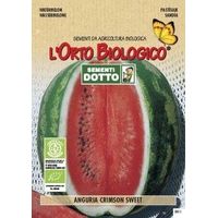 SEMENTI ANGURIA CRIMSON SWEET