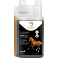 Flüssiges Ergänzungsmittel equi flex ha holland-animal-care Gelenk Sehnen