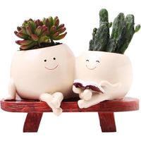 Pot de fleurs souriant, pot de fleurs avec trou de drainage, jolis pots de fleurs à visage, pots pour plantes grasses, pot de fleurs avec visage souriant, pour l'extérieur, l'intérieur, le jardin, la
