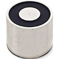 RED MAGNETICS Elettromagnete non magnetico (stato in assenza di corrente) 3 N 12 V/DC 1.6 W ITS-MSM-0820-12VDC
