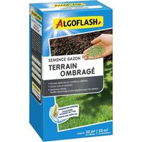 Semi algoflash semence gazon terrain ombragé 800g ombra