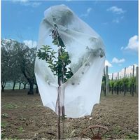 Cappuccio Antigelo In Tnt Per Piante Cm. 160X320