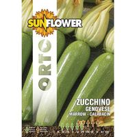 Sementi Zucchino Genovese Sunflower