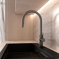 DILECI - Robinet de cuisine avec douchette extractible Finition gris métallisé