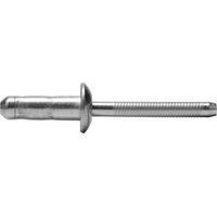250 Rivets Structure Tête Ronde HIGHLOCK TRS 6.4 x 14 mm - Acier - D-Work