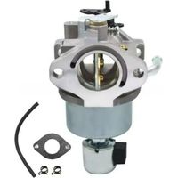 Carburateurs 594605 792768, 591734, 594603, 791886 et 698620 690194Baliton