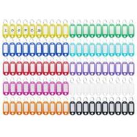 100 Pièces Porte-Clés, Étiquettes de Clé en Plastique, Inscriptibles Porte Clef Couleur en 10 Couleurs, en étiquettes d'identification avec Porte-Clé, pour Clefs, Bagages ou bureau - Crezuo