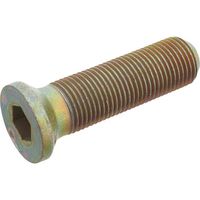 Tornillos M36100342R MASCHIO M36100342R