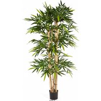 Bambou New grosses cannes H 180 cm 1152 feuilles artificiel - dimhaut: H 180 cm - couleur: Vert