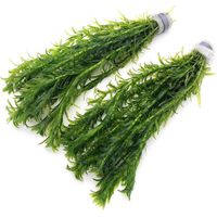 20 Stems Oxygenating Weed Live Pond Plant Water Aquarium Aquatic Plants Egeria