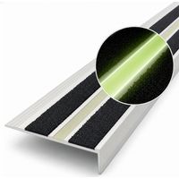 Profilé de nez de marche Aura, Aluminium anodisé, antidérapant et photoluminescent, pré-percé, Longueur : 90 cm