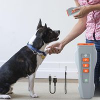 Dispositif Anti-Aboiements For Chiens, Dispositifs Anti-Aboiements For Chiens Avec 3 Modes, Avec Lampe De Poche Led IntéGréE, Aide Au Comportement, éTanche, Transforme Les Aboiements Et Le Comportemen