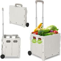 TolleTour Chariot de course pliable 45L avec couvercle, 2 roues, panier trolley pour courses et maison, blanc
