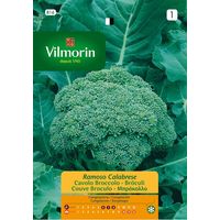 Vilmorin Broculi Ramoso Calabre S-1 816, 9 Gr