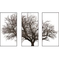 Autocollants décoratifs de Style nordique, sparadrap muraux d'arbre gris, décoration de fond de maison