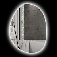 Specchio LED Bagno Regolabile Colore Temperatura Vetro Temperato Argento 80x5x60 cm
