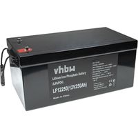 vhbw Batterie de bord pour caravane, bateau, camping, camping-car (250Ah, 12,8V, LiFePO4)