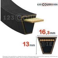 Courroie trapézoidale lisse Contitech Conti V SPB2500 Ld