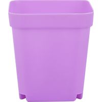 Pot de fleurs décoratif de jardin, conteneur de semis succulent pour cour et balcon, violet