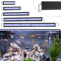Randaco Lampe LED aquarium couleur avec support et minuterie, éclairage décoratif, 10W