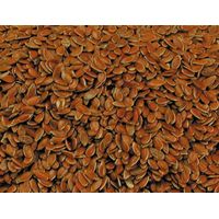 Graines de lin 20 kg