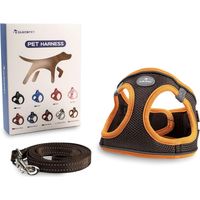 Harnais pour chien de petite et moyenne taille avec laisse de 1,4 m, anti-traction, réfléchissant, taille M, Glückpet