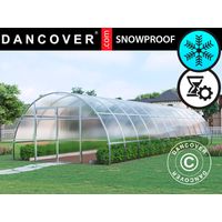 Serra in policarbonato, Strong NOVA 48m², 4x12m, Argento - Dancover