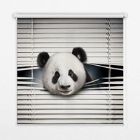 Store Enrouleur Intérieur pour Fenêtre - Store Tamisant - Store Enrouleur qui Laisse Passer la Lumière - Store Brise-Vue - Store - Store pour Intérieur - (100 cm x 140 cm) - Panda