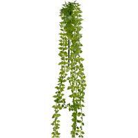 Chute de feuillage de Dischidia artificiel L 70 cm, D 8 cm