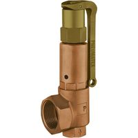 PNEUMATEX Valvola di sicurezza DSV32-3,0 DGH, Bronzo rosso, 5364030