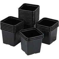 Godet carré 7x7 cm (carton de 2160 pièces) - Couleur Noir