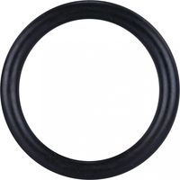 O-Ring Pe D.32