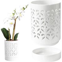 Pots à orchidées avec trous pour les orchidées.