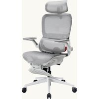 SIHOO B100 Pro Ergonomischer Mesh-Bürostuhl mit 4D dynamischer Lendenwirbelstütze, 3D extra breiter Kopfstütze, 4D hochklappbaren Armlehnen, Fußstütze, Grau