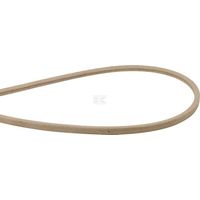 Cinghia trapezoidale AYP 598559101