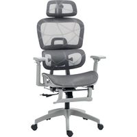 Chaise de bureau ergonomique avec revêtement en tissu mesh. Réglable. À roulettes. Avec accoudoirs et appui-tête. Grise.