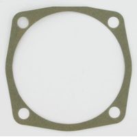 Junta 0.3 mm MASCHIO M01110132R