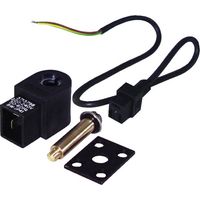 Elettrovalvola pompa AS 220V