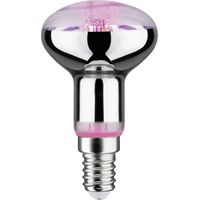 Paulmann Lampadina LED per crescita piante 230 V E14 4 W Ambra 1 pz.