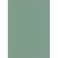 Liasse Décor Vert Menthe Panneau Décoratif Uni Vert Menthe Pour Intérieurs. - Générique