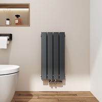 EMKE Heizkörper 60 x 30 cm 384 W Badheizkörper Design Paneelheizkörper, Warmwasser Zentralheizung, Doppelschichtig, Mittelanschluss, Flachrohr, Anthrazit