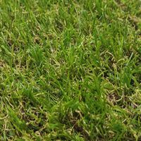 Gazon Synthétique 1X4M 18MM Lisse Duveteux Jardin Extérieur Type Quatre-tons