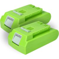 vhbw 2x Batteries compatible avec Greenworks 2100007, 2100107, 20-Inch Cordless Pole Hedge Trimmer outil électrique (2000 mAh, Li-ion, 24 V)